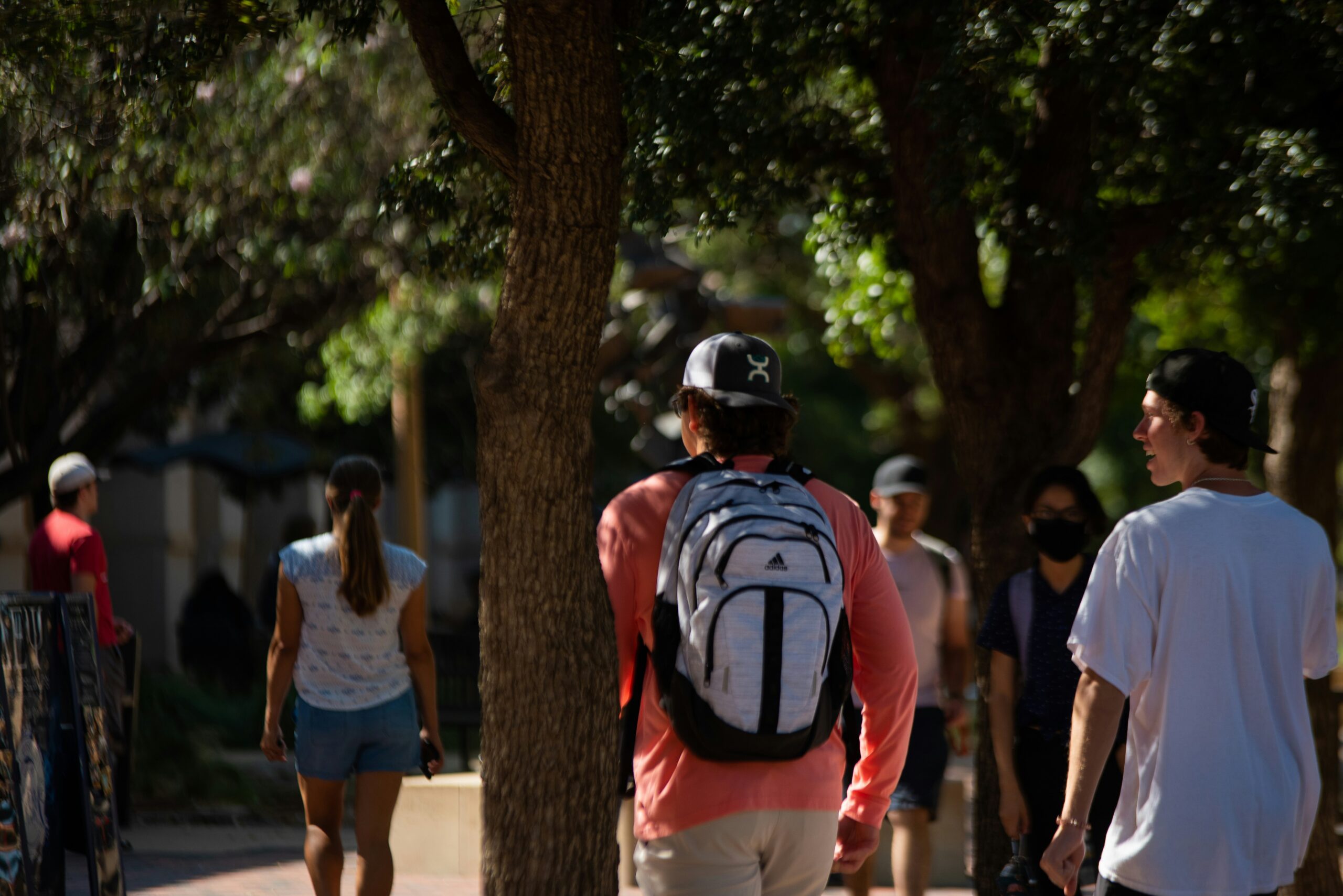 Students walking among trees during an outdoor learning activity