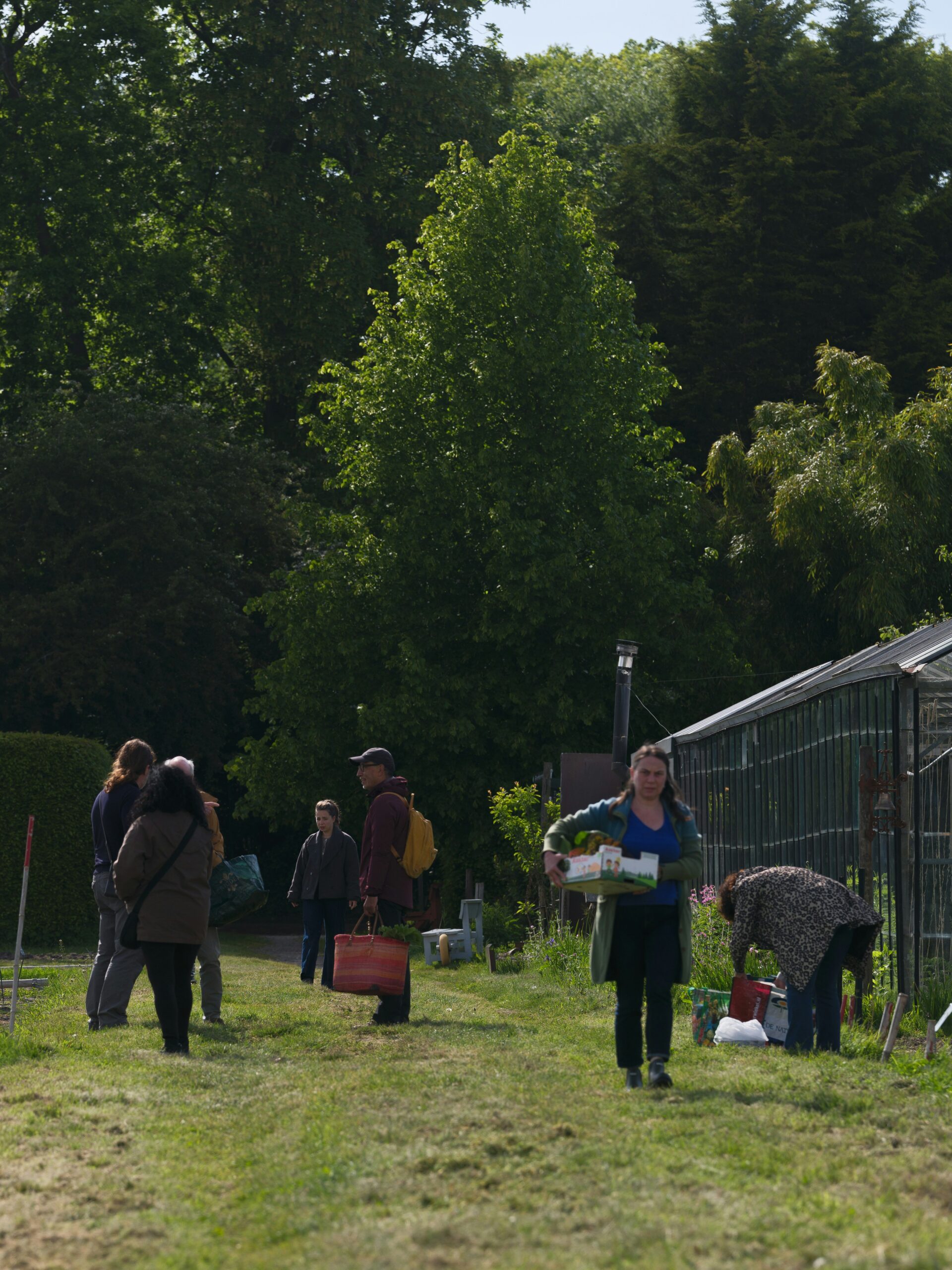 People gathering and working together in a community garden